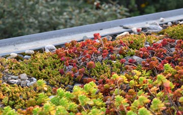 the cost of Pecket Well green roof installation