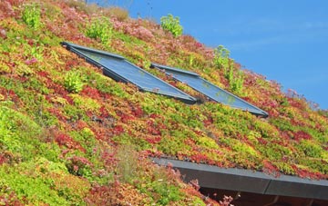 Pecket Well living roof systems